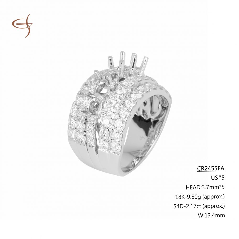 CR2455FA