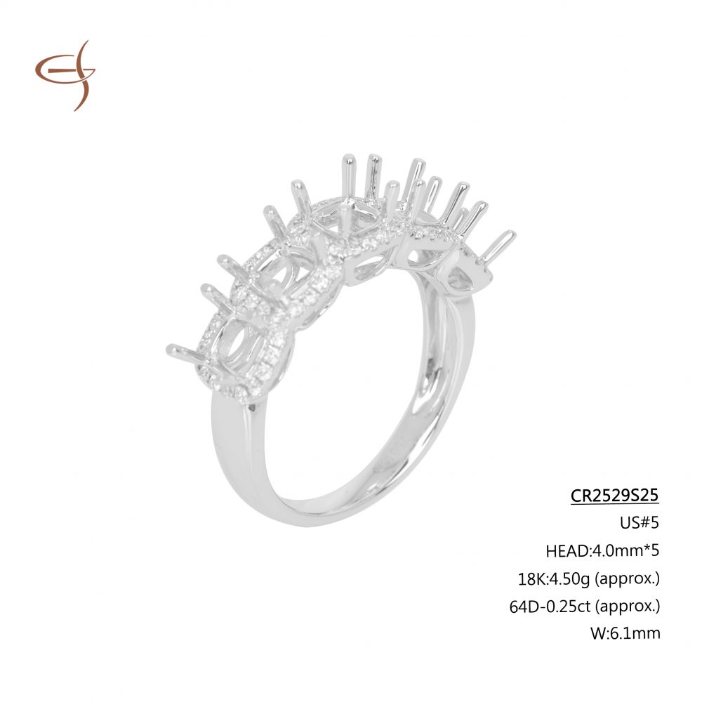 CR2529S25