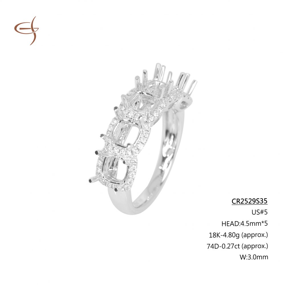 CR2529S35