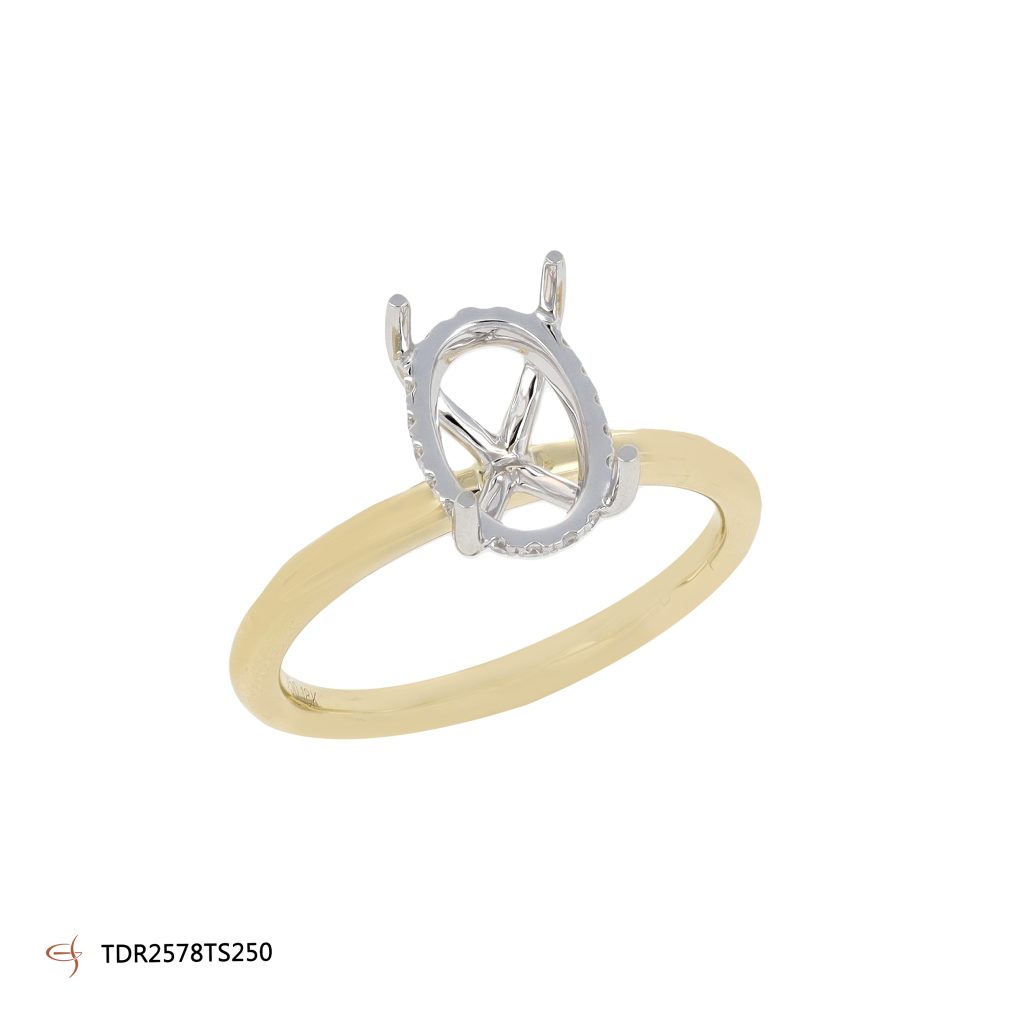 TDR2578TS250