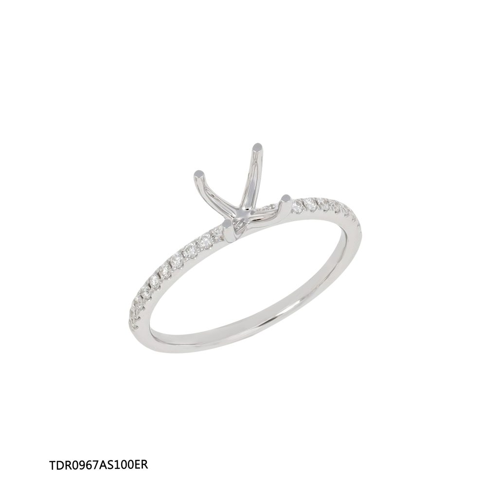 TDR0967AS100ER